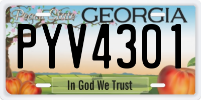 GA license plate PYV4301