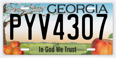 GA license plate PYV4307