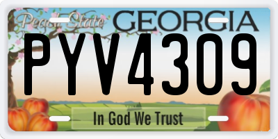 GA license plate PYV4309