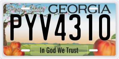 GA license plate PYV4310