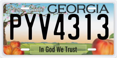 GA license plate PYV4313