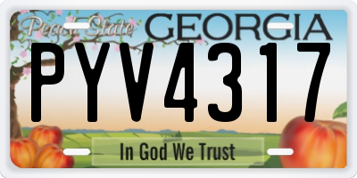 GA license plate PYV4317