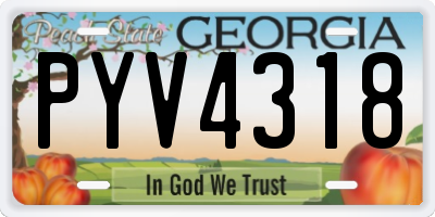 GA license plate PYV4318