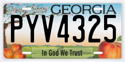 GA license plate PYV4325