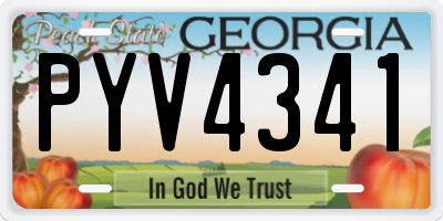 GA license plate PYV4341