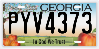 GA license plate PYV4373