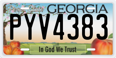 GA license plate PYV4383
