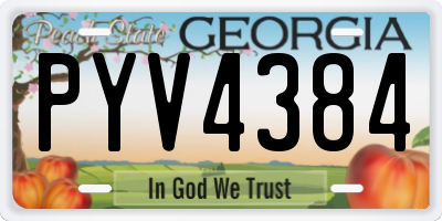 GA license plate PYV4384