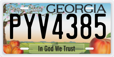 GA license plate PYV4385