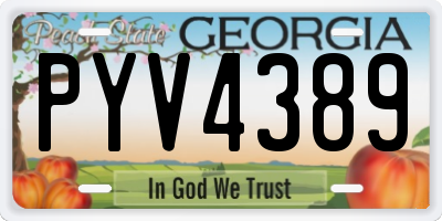 GA license plate PYV4389