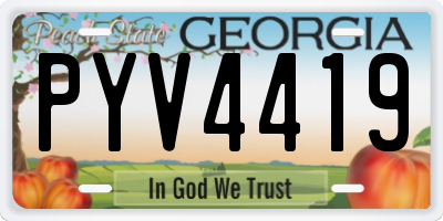 GA license plate PYV4419