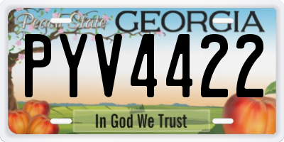 GA license plate PYV4422