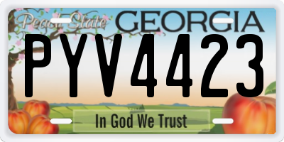 GA license plate PYV4423