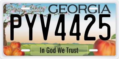 GA license plate PYV4425