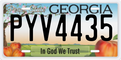 GA license plate PYV4435