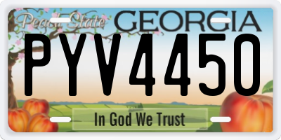GA license plate PYV4450