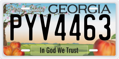 GA license plate PYV4463