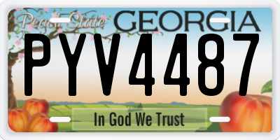 GA license plate PYV4487