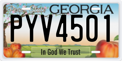 GA license plate PYV4501