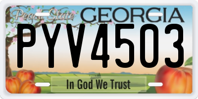 GA license plate PYV4503