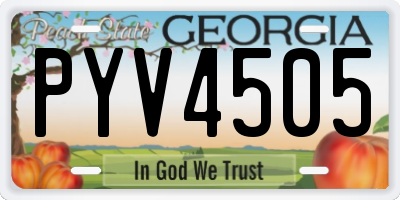 GA license plate PYV4505