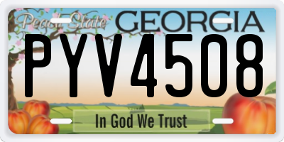 GA license plate PYV4508