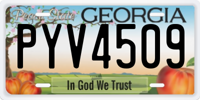 GA license plate PYV4509