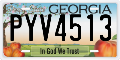 GA license plate PYV4513