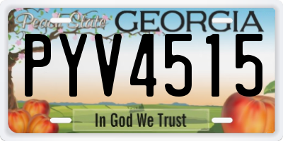 GA license plate PYV4515