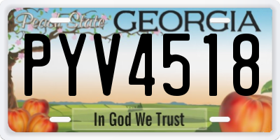 GA license plate PYV4518
