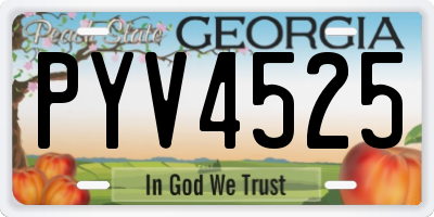 GA license plate PYV4525