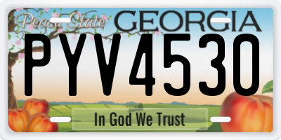 GA license plate PYV4530