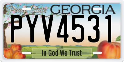 GA license plate PYV4531