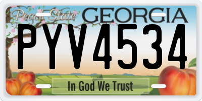 GA license plate PYV4534
