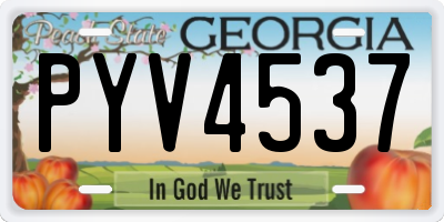 GA license plate PYV4537