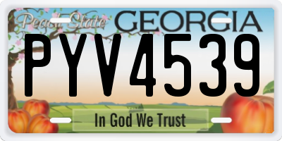 GA license plate PYV4539