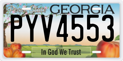 GA license plate PYV4553
