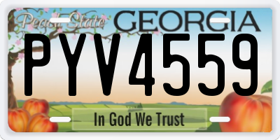 GA license plate PYV4559