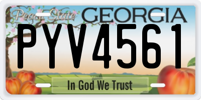GA license plate PYV4561