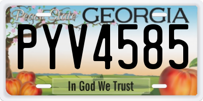 GA license plate PYV4585