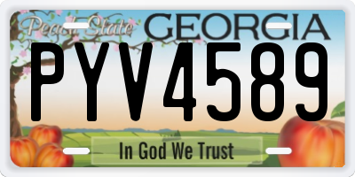 GA license plate PYV4589