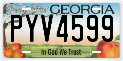 GA license plate PYV4599