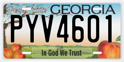 GA license plate PYV4601