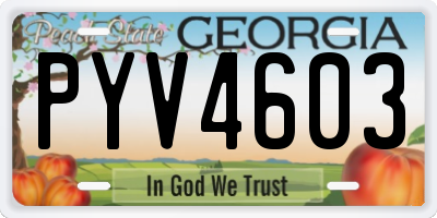 GA license plate PYV4603