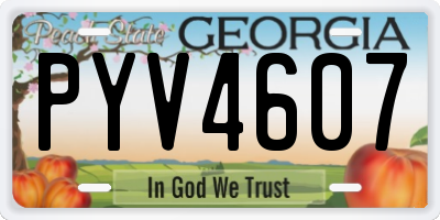 GA license plate PYV4607