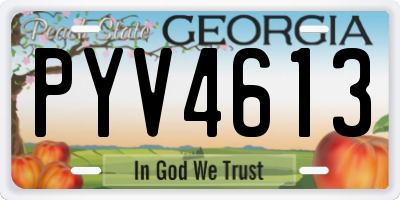 GA license plate PYV4613