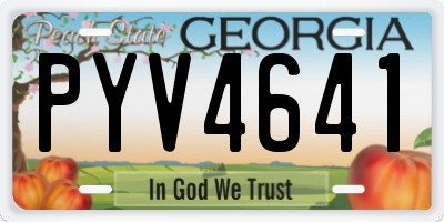 GA license plate PYV4641