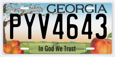 GA license plate PYV4643