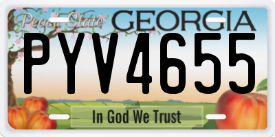 GA license plate PYV4655