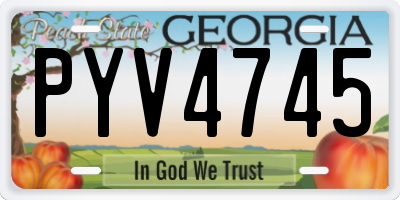 GA license plate PYV4745